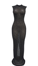 Load image into Gallery viewer, Caspian Caviar Dress
