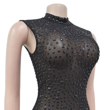 Load image into Gallery viewer, Caspian Caviar Dress