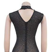 Load image into Gallery viewer, Caspian Caviar Dress